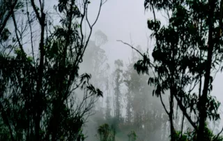 La neblina de Quito, omnipresente