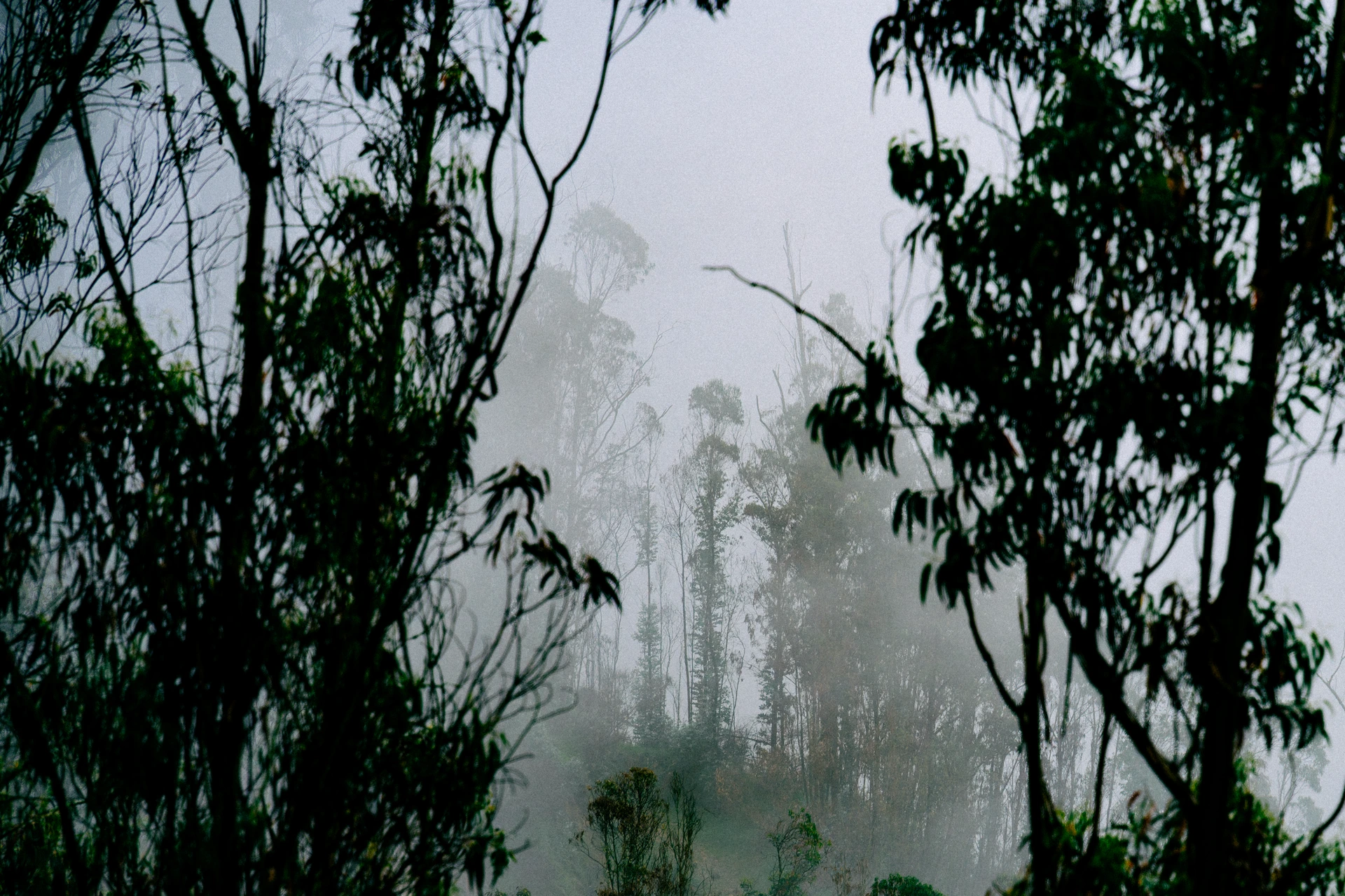 La neblina de Quito, omnipresente La neblina de Quito, omnipresente
